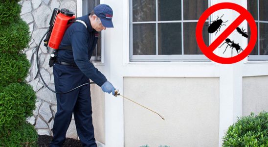 Karpuzlu Hamam Böceği İlaçlama böcek ilaçlama ve haşere kontrolü — ilaclama-tr.com